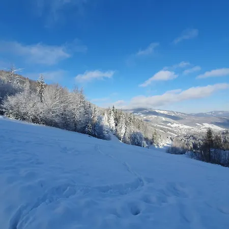 Apartamenty Na Soszowie, Wisla - Widokowe Miejsce Z Balia & Prywatna Sauna, Obok Stoku Narciarskiego I Bike Parku, Dla Max 16 Osob Exterior foto